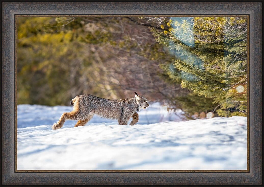 Impression de cadre personnalisé