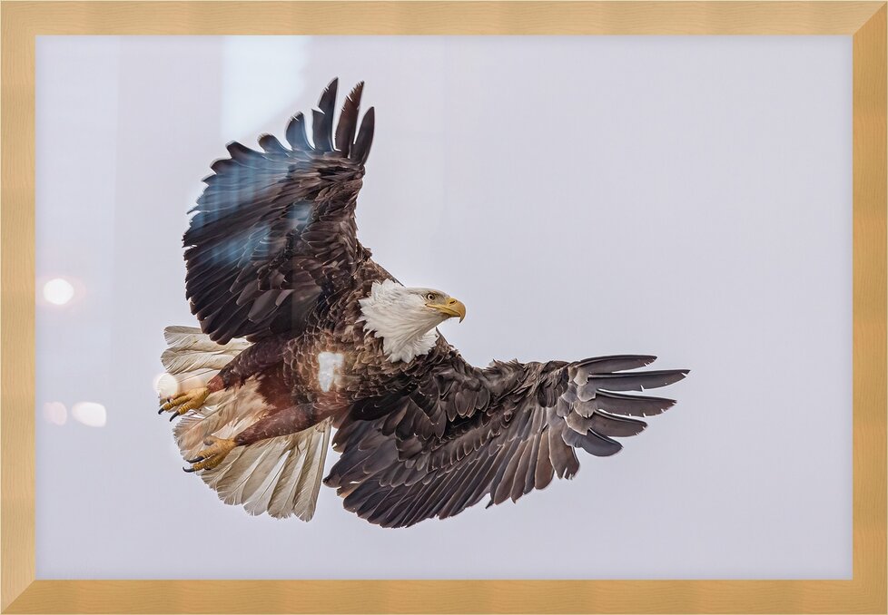 Impression de cadre personnalisé