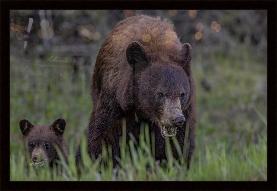 Impression de cadre personnalisé