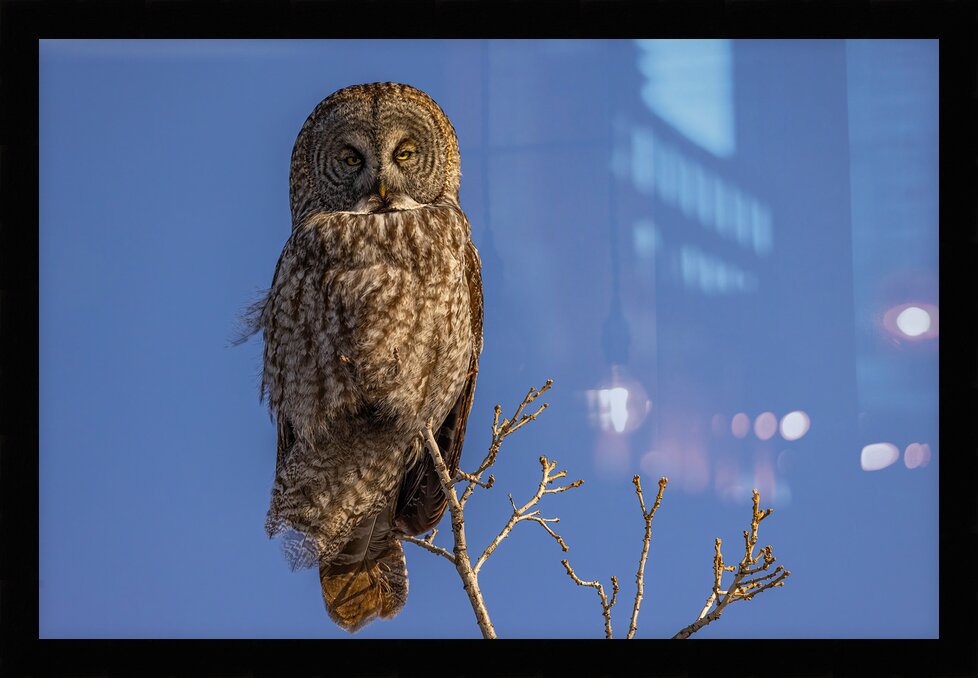 Impression de cadre personnalisé