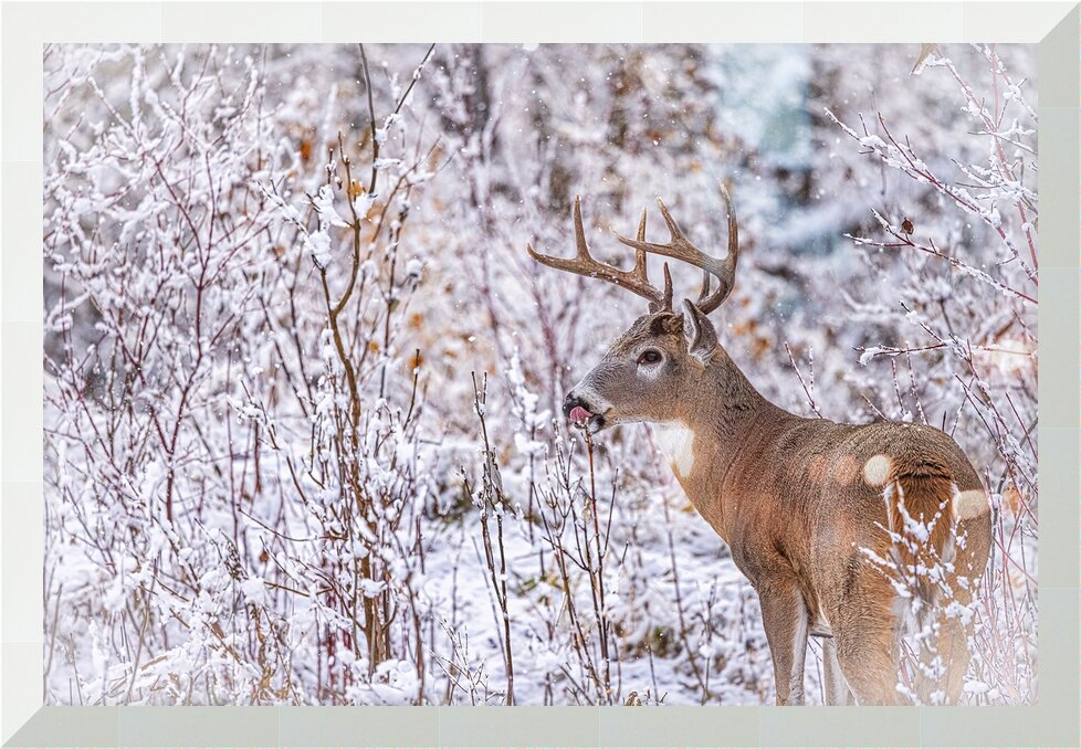Impression de cadre personnalisé