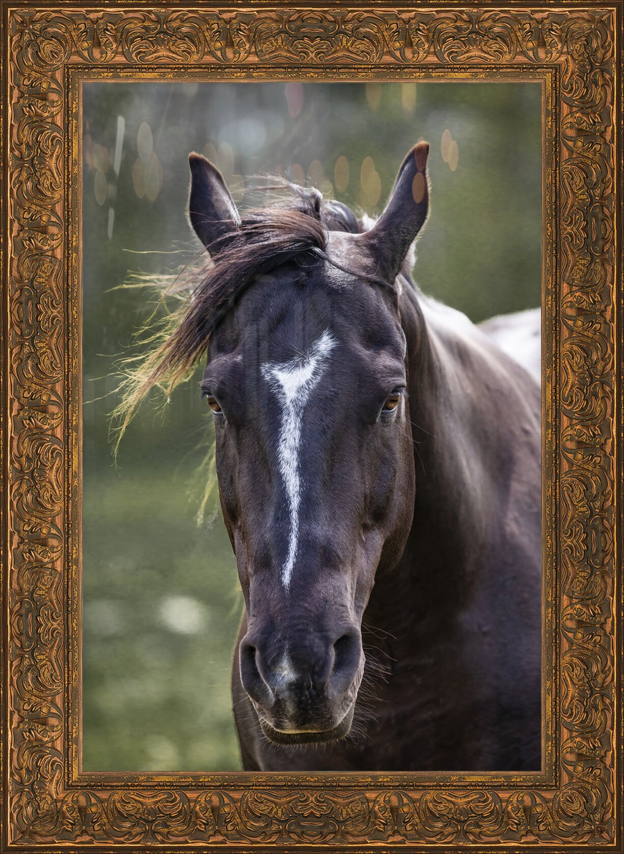 Impression de cadre personnalisé