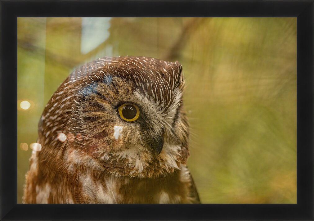 Impression de cadre personnalisé