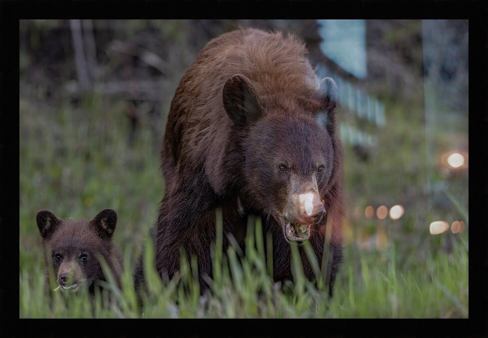 Impression de cadre personnalisé