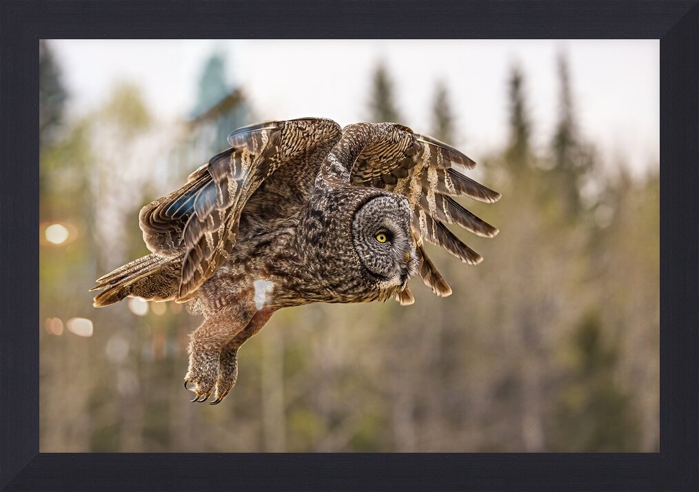 Impression de cadre personnalisé