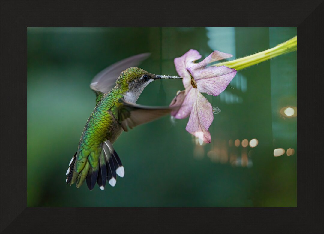 Impression de cadre personnalisé