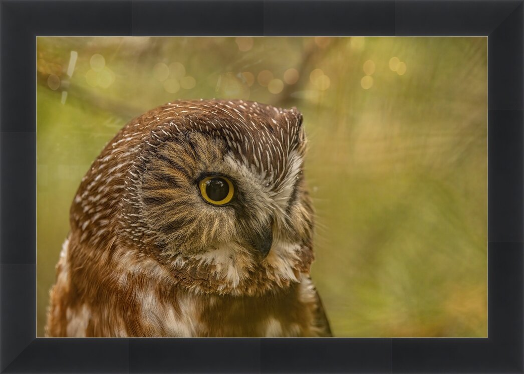 Impression de cadre personnalisé