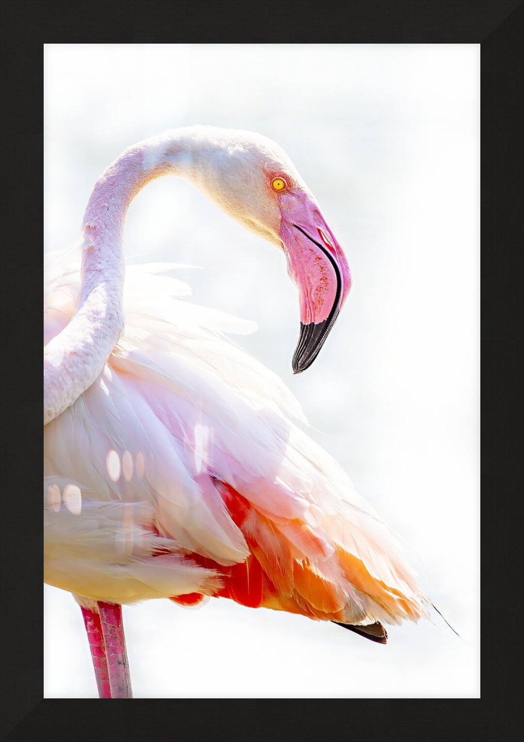 Impression de cadre personnalisé