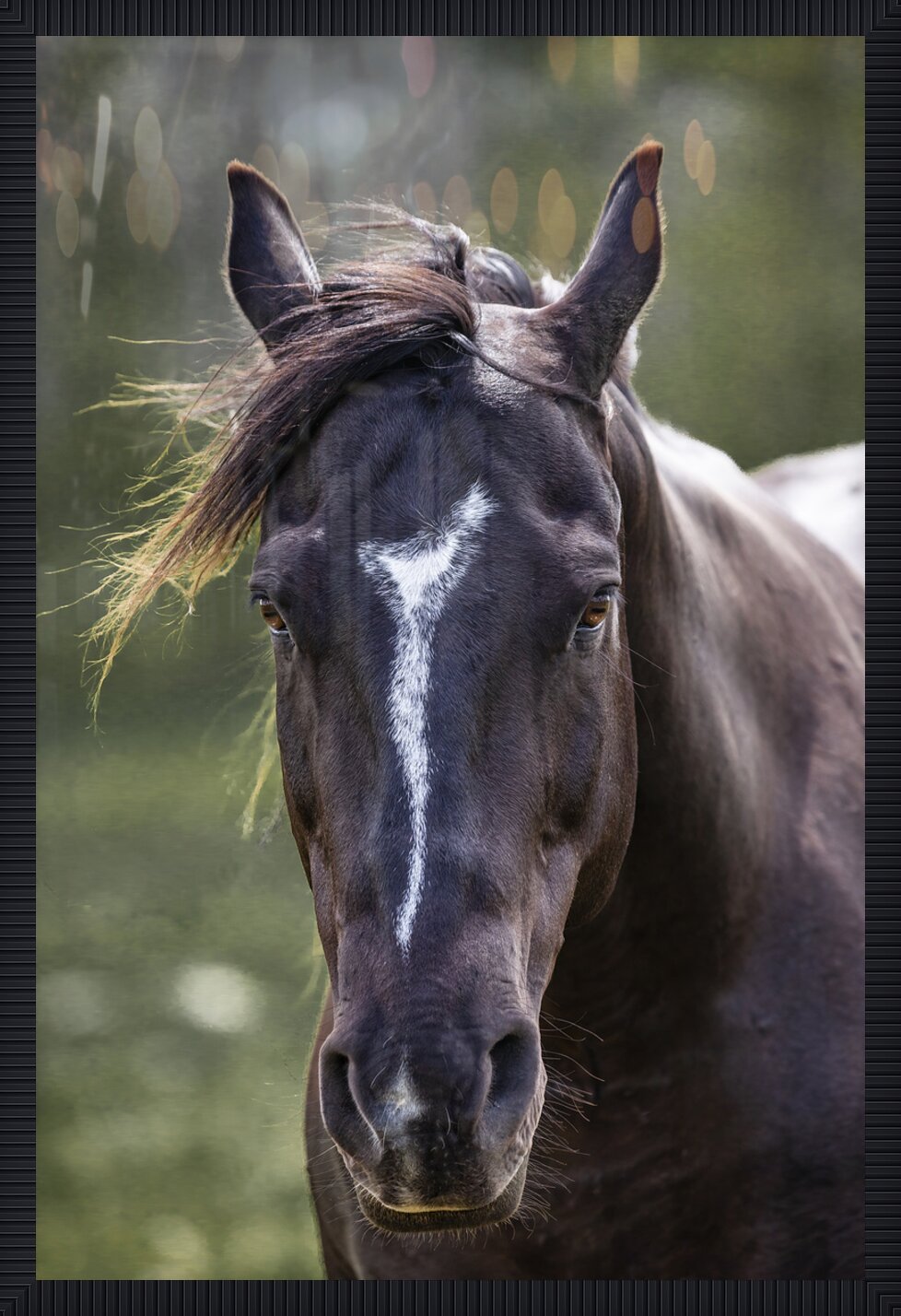 Impression de cadre personnalisé