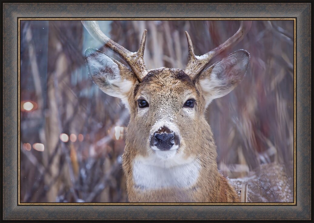 Impression de cadre personnalisé