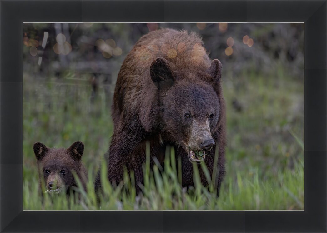 Impression de cadre personnalisé