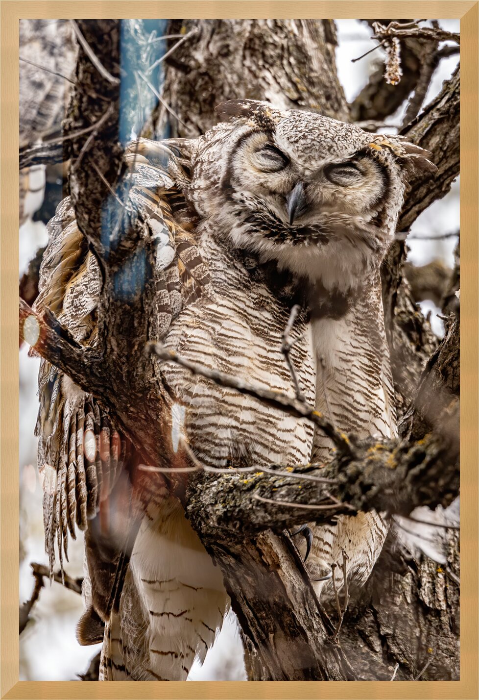 Impression de cadre personnalisé