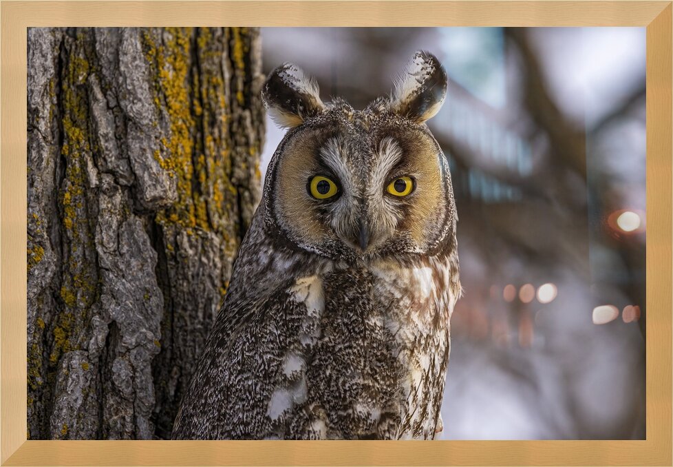 Impression de cadre personnalisé