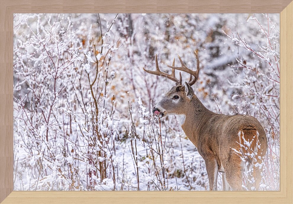 Impression de cadre personnalisé
