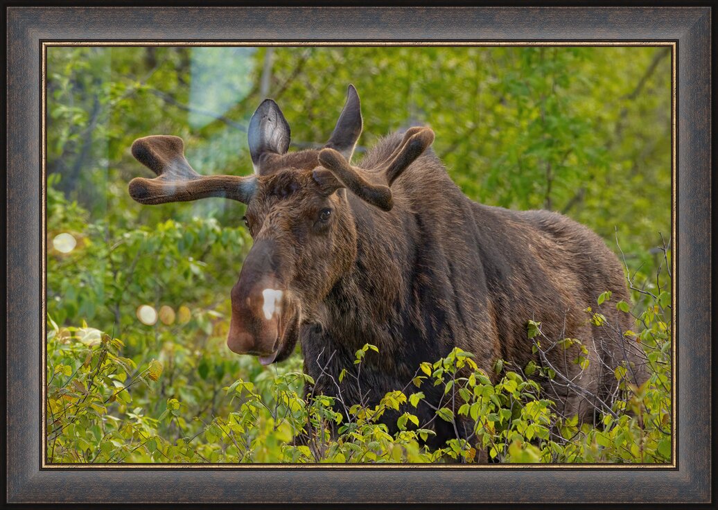 Impression de cadre personnalisé