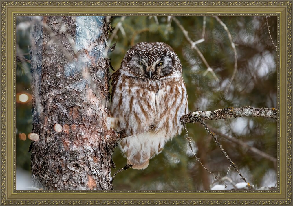 Impression de cadre personnalisé