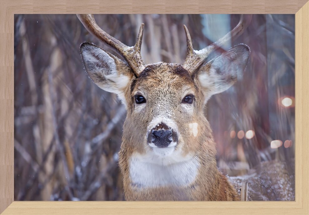 Impression de cadre personnalisé