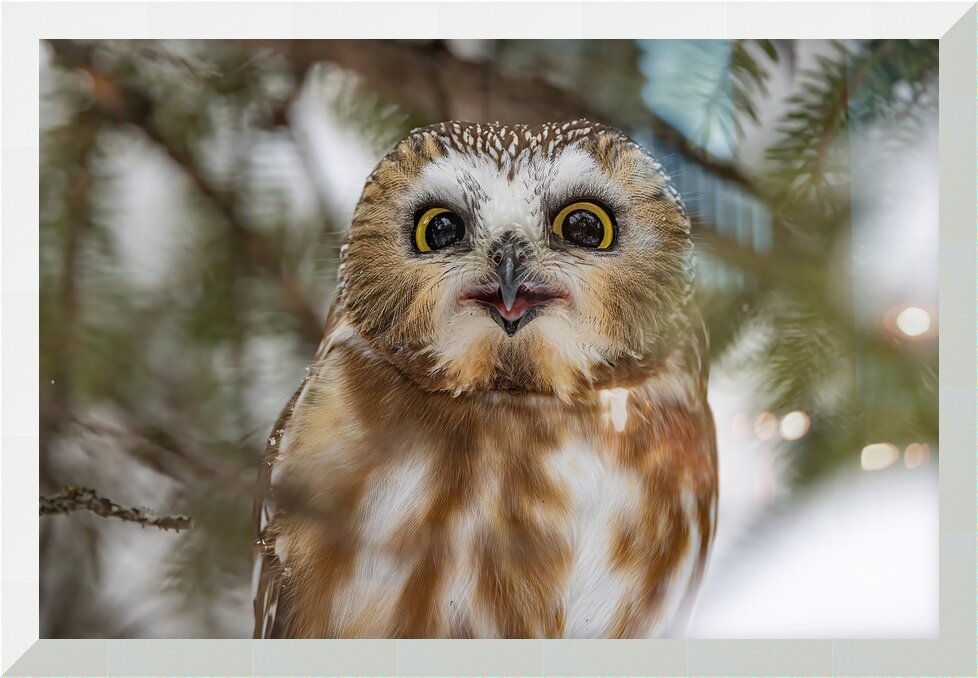 Impression de cadre personnalisé