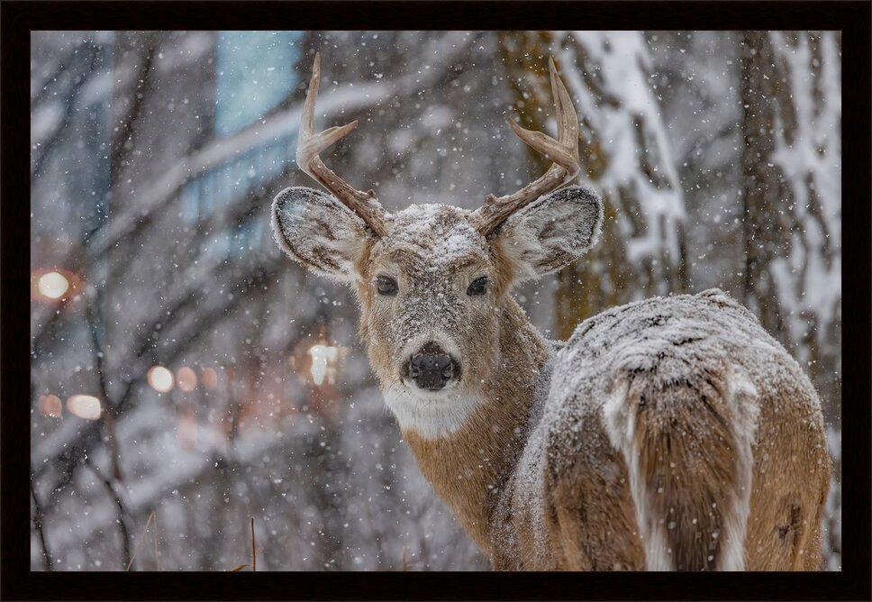 Impression de cadre personnalisé