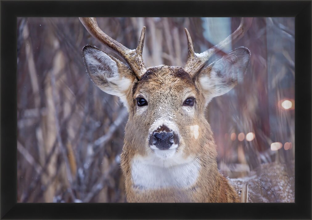 Impression de cadre personnalisé