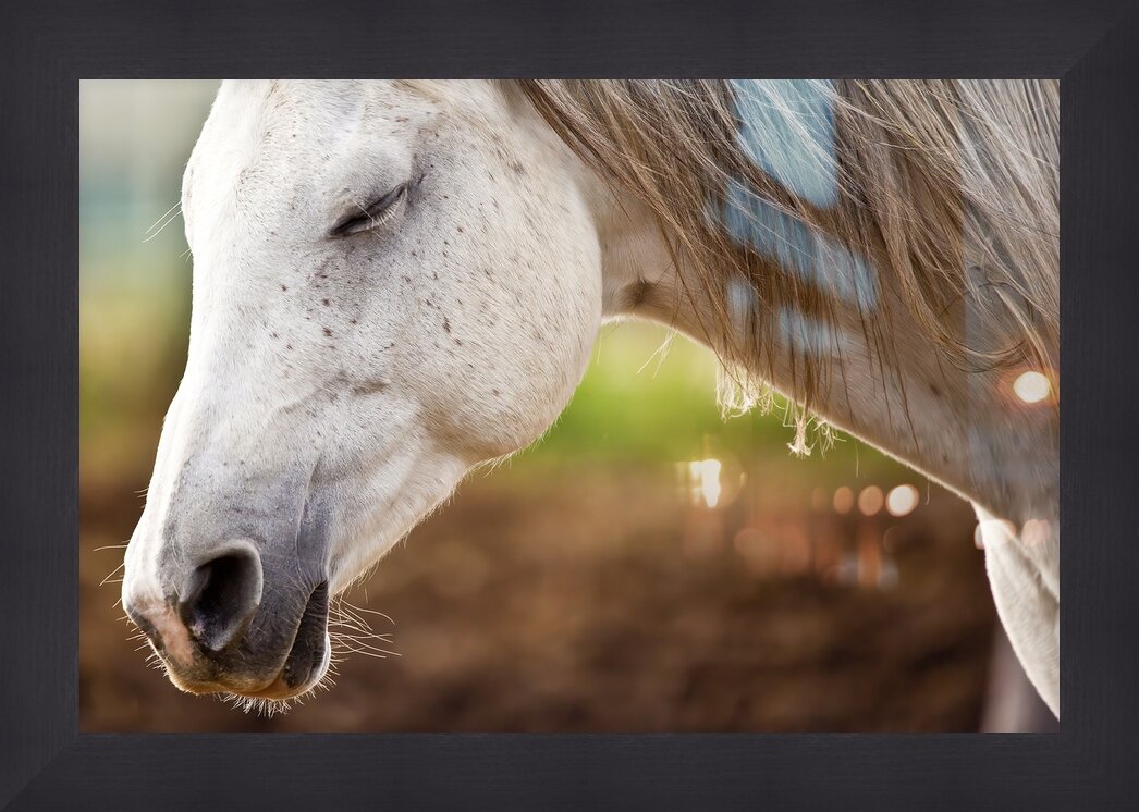 Impression de cadre personnalisé