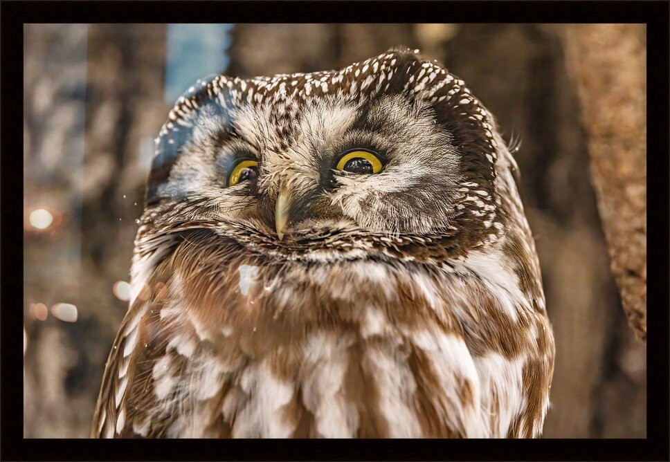 Impression de cadre personnalisé