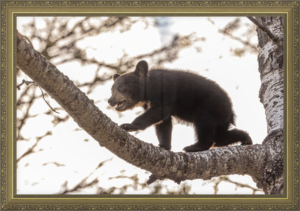 Impression de cadre personnalisé