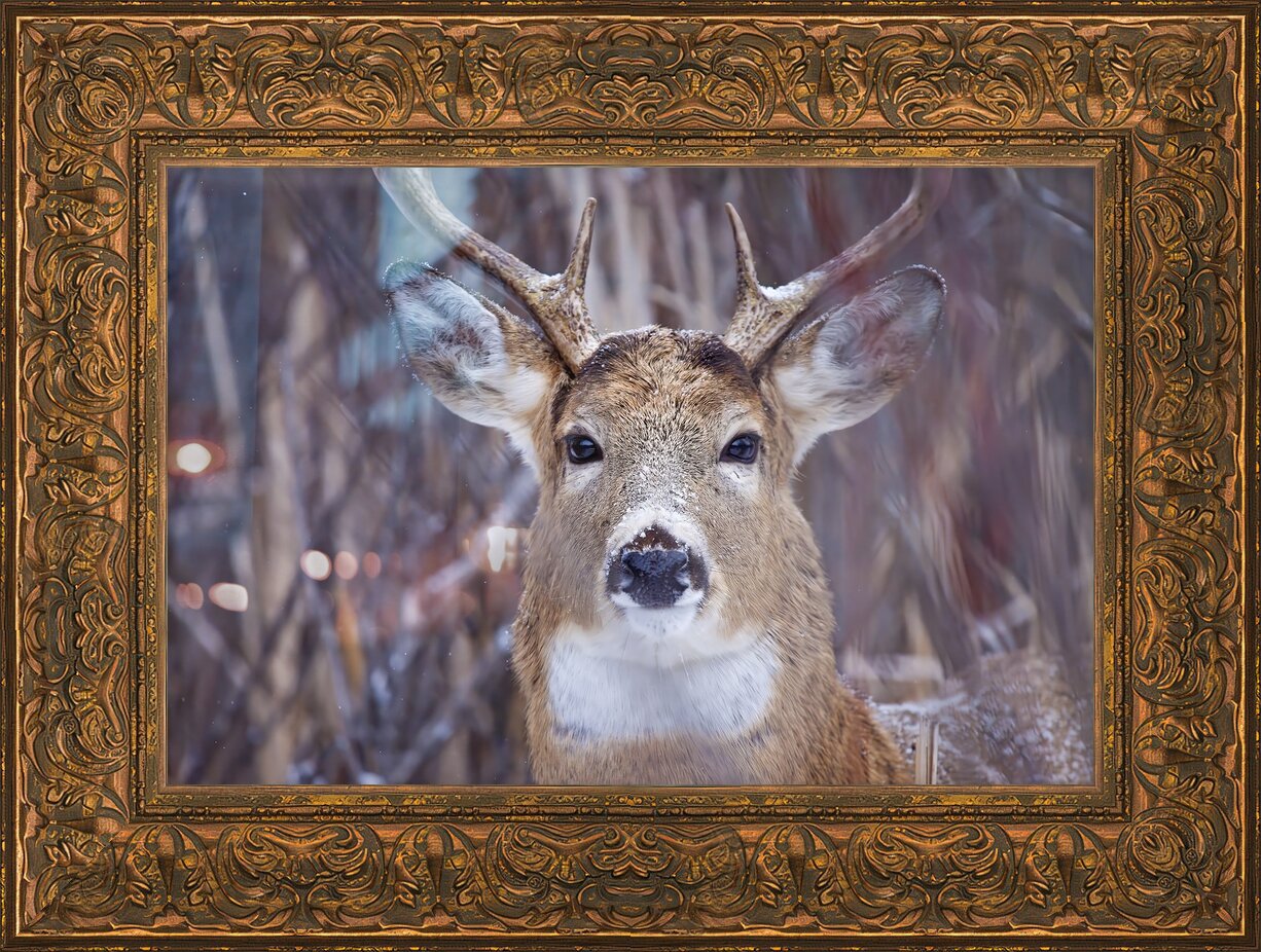 Impression de cadre personnalisé