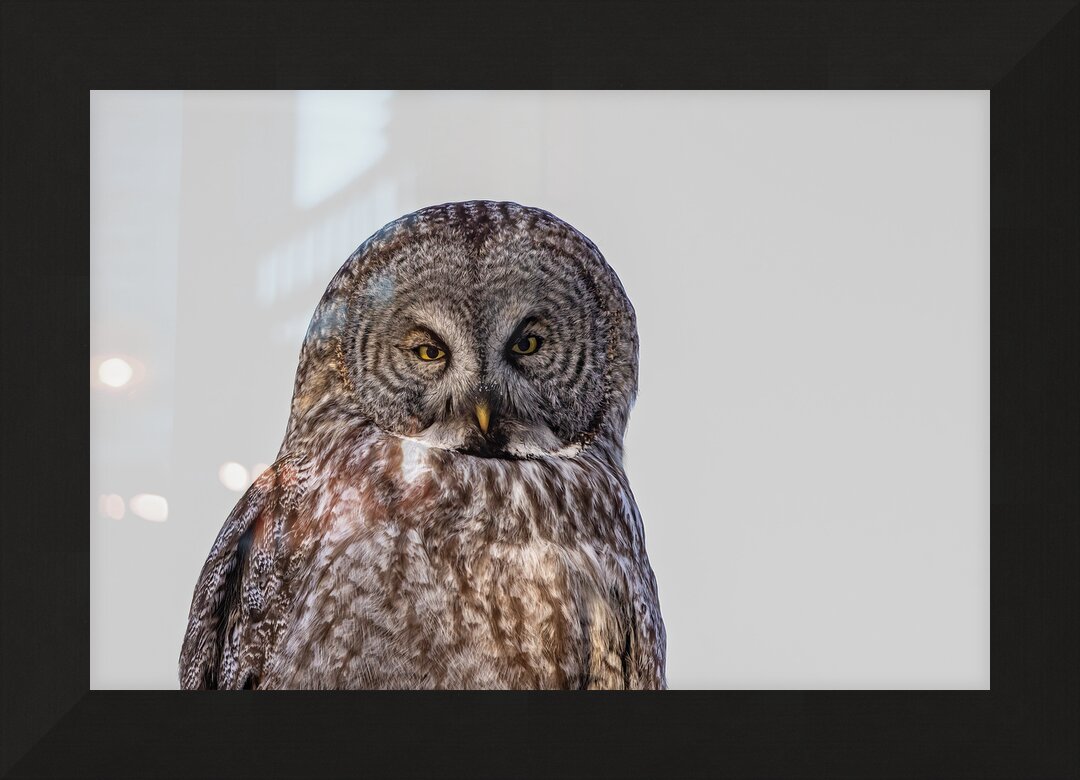 Impression de cadre personnalisé