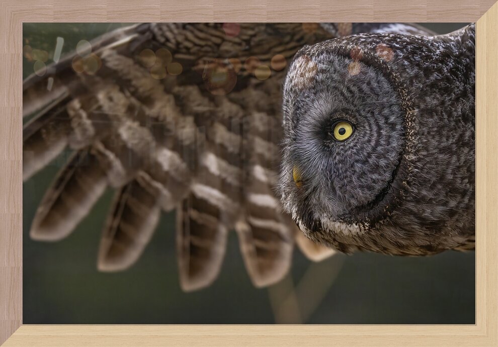 Impression de cadre personnalisé