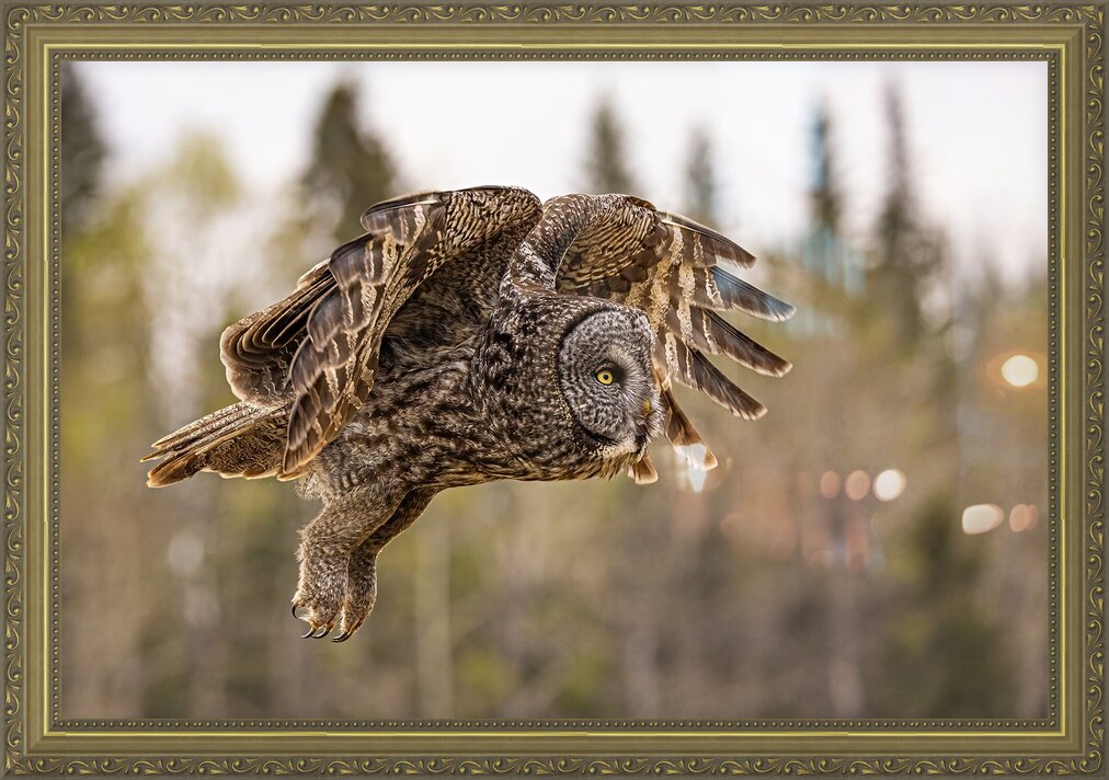 Impression de cadre personnalisé