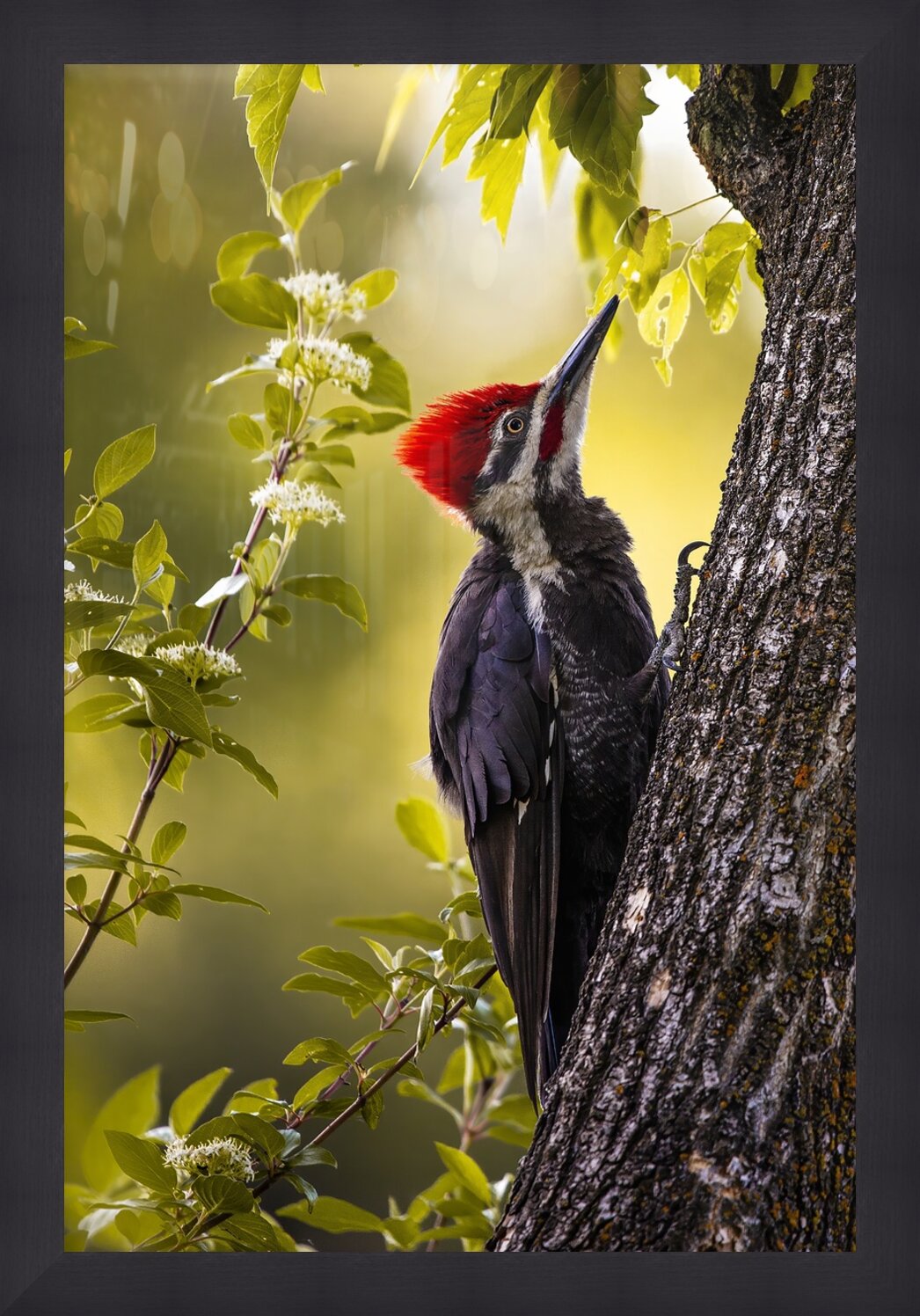 Impression de cadre personnalisé