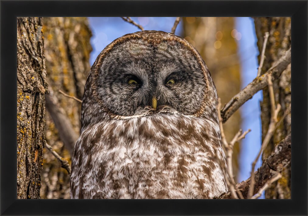 Impression de cadre personnalisé