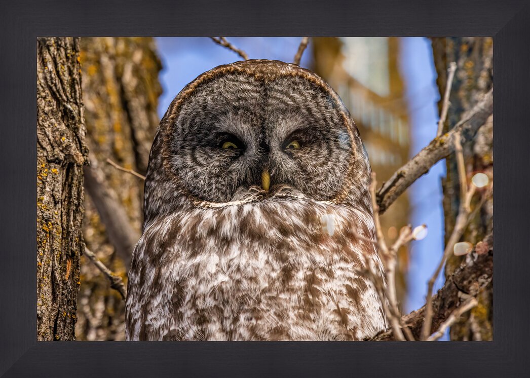 Impression de cadre personnalisé