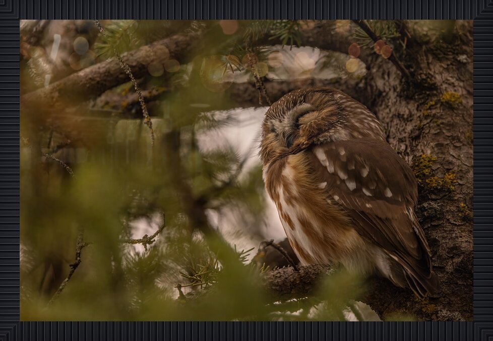 Impression de cadre personnalisé