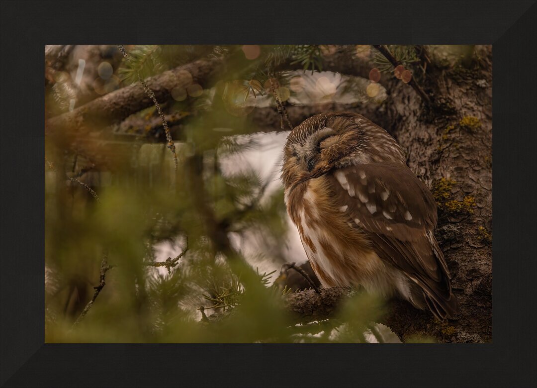 Impression de cadre personnalisé
