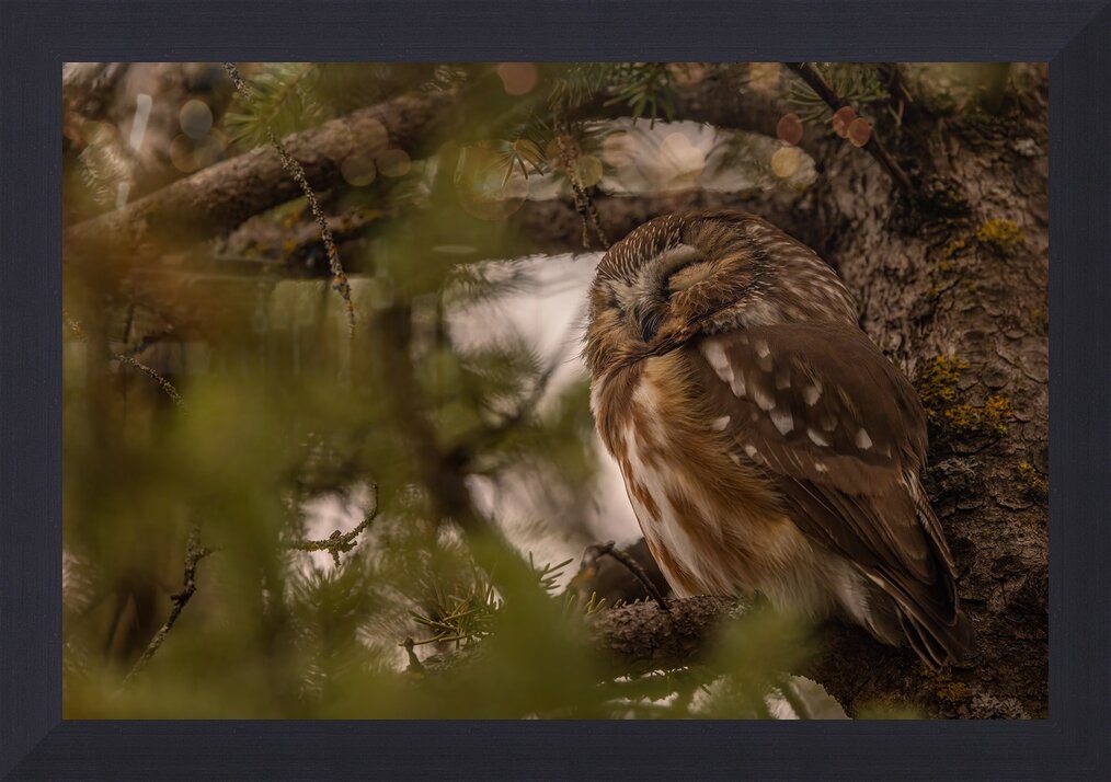 Impression de cadre personnalisé