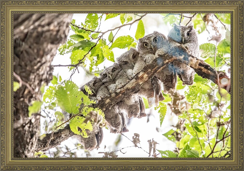 Impression de cadre personnalisé