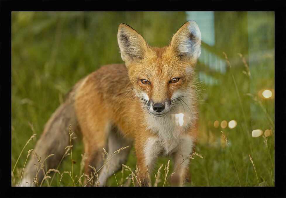 Impression de cadre personnalisé