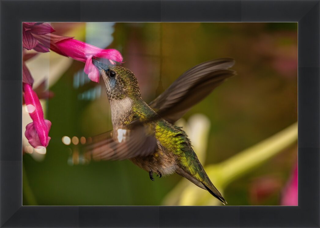 Impression de cadre personnalisé