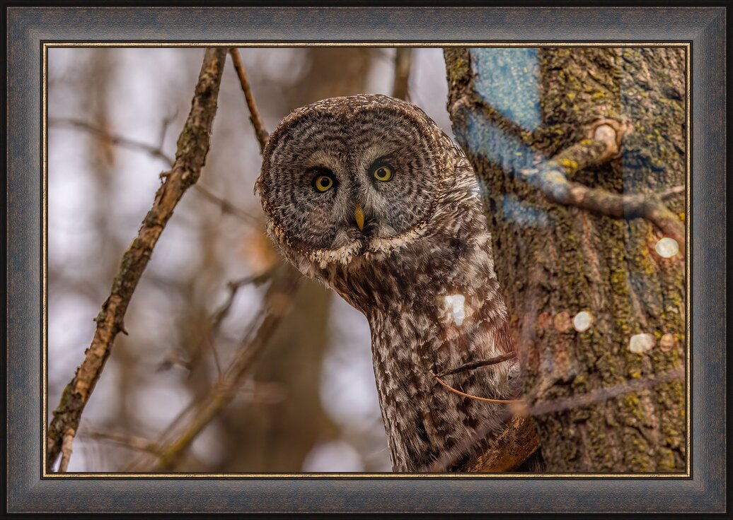 Impression de cadre personnalisé
