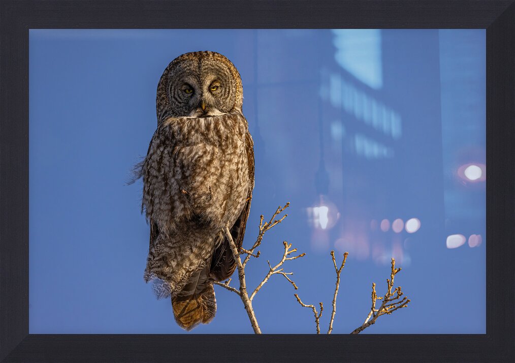 Impression de cadre personnalisé