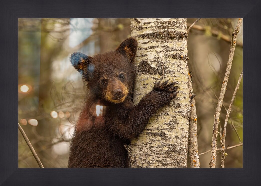 Impression de cadre personnalisé