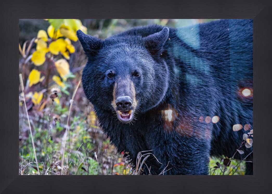 Impression de cadre personnalisé