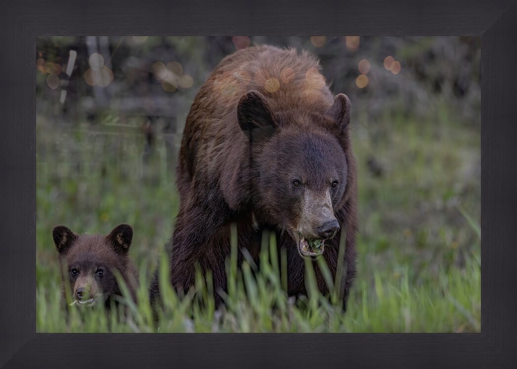 Impression de cadre personnalisé