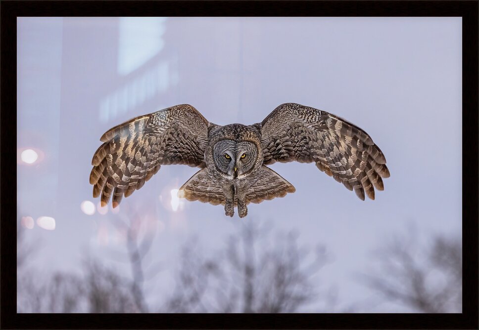 Impression de cadre personnalisé